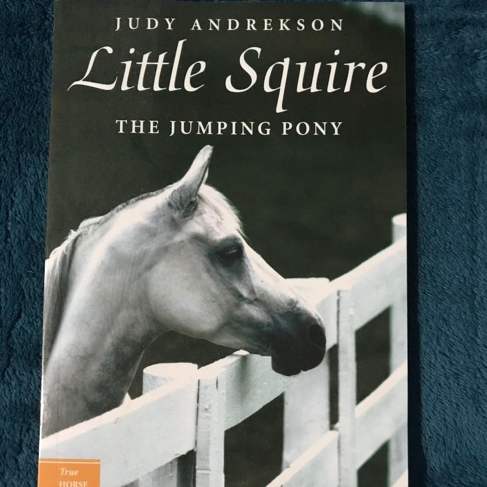 "Little Squire The Jumping Pony" by Judy Andrekson
